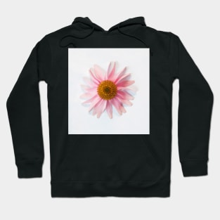 Upclose Purple Coneflower Hoodie